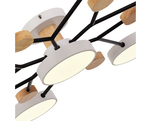 Купить Люстра на штанге Evoluce SLE6006-502-07| VIVID-LIGHT.RU