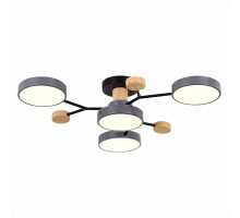 Люстра на штанге Evoluce SLE6006-702-04