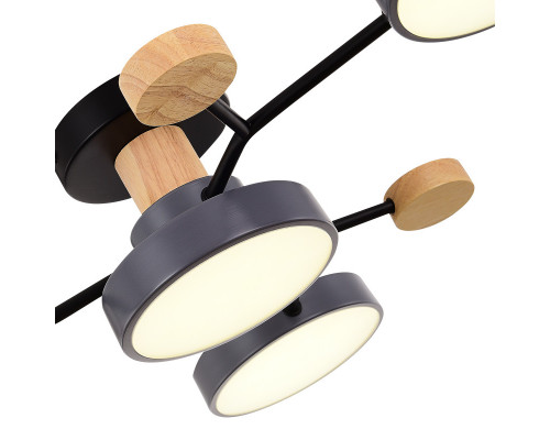 Заказать Люстра на штанге Evoluce SLE6006-702-04| VIVID-LIGHT.RU