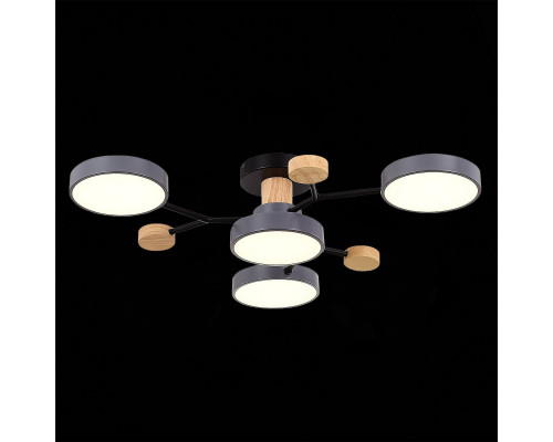 Заказать Люстра на штанге Evoluce SLE6006-702-04| VIVID-LIGHT.RU