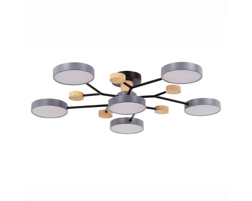 Купить Люстра на штанге Evoluce SLE6006-702-06| VIVID-LIGHT.RU