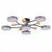 Купить Люстра на штанге Evoluce SLE6006-702-06| VIVID-LIGHT.RU