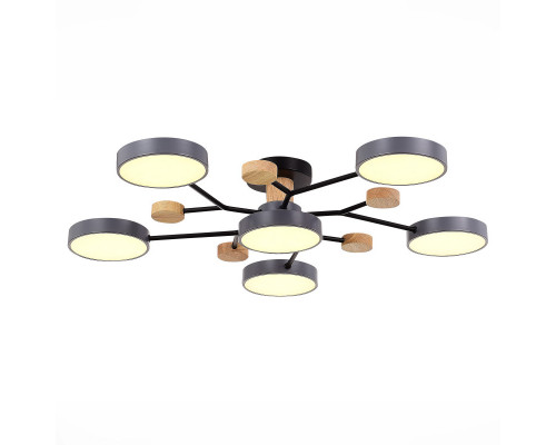 Купить Люстра на штанге Evoluce SLE6006-702-06| VIVID-LIGHT.RU