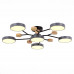 Купить Люстра на штанге Evoluce SLE6006-702-06| VIVID-LIGHT.RU
