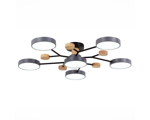Купить Люстра на штанге Evoluce SLE6006-702-06| VIVID-LIGHT.RU