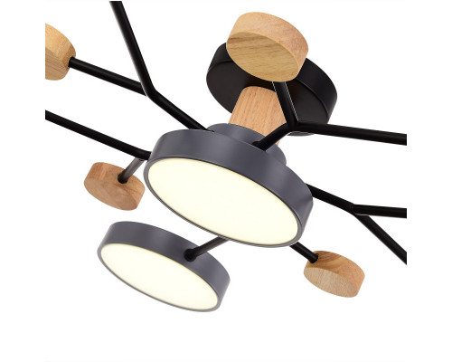 Купить Люстра на штанге Evoluce SLE6006-702-06| VIVID-LIGHT.RU