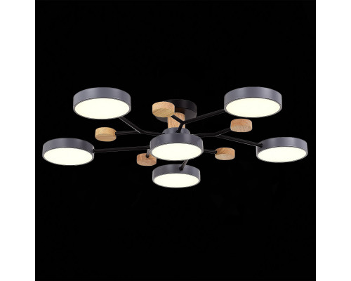 Купить Люстра на штанге Evoluce SLE6006-702-06| VIVID-LIGHT.RU