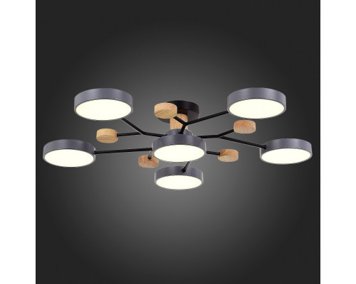 Купить Люстра на штанге Evoluce SLE6006-702-06| VIVID-LIGHT.RU