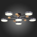 Купить Люстра на штанге Evoluce SLE6006-702-06| VIVID-LIGHT.RU