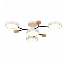 Люстра на штанге Evoluce SLE6006-502-04