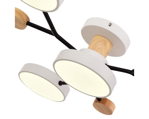 Купить Люстра на штанге Evoluce SLE6006-502-04| VIVID-LIGHT.RU