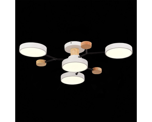 Купить Люстра на штанге Evoluce SLE6006-502-04| VIVID-LIGHT.RU