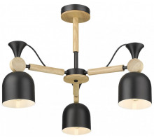 Люстра на штанге VELANTE 225-023-03