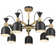 Люстра на штанге VELANTE 225-023-07