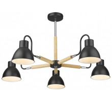 Люстра на штанге VELANTE 230-023-05