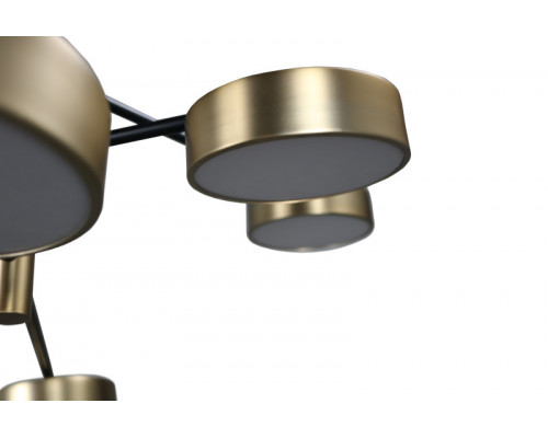 Оформить заказ Люстра на штанге Zortes ZRS.01243.08| VIVID-LIGHT.RU