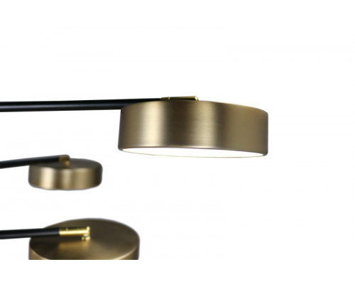 Оформить заказ Люстра на штанге Zortes ZRS.01243.08| VIVID-LIGHT.RU