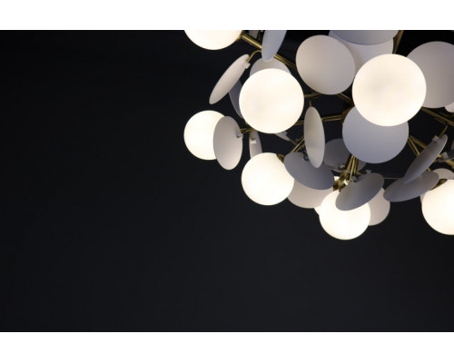 Купить Люстра на штанге Zortes ZRS.01201.12| VIVID-LIGHT.RU