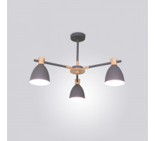 Люстра на штанге ImperiumLoft 101598-26