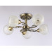 Оформить заказ Люстра на штанге Ambrella Light TR3064| VIVID-LIGHT.RU