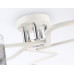 Заказать Люстра на штанге Ambrella Light TR303219| VIVID-LIGHT.RU
