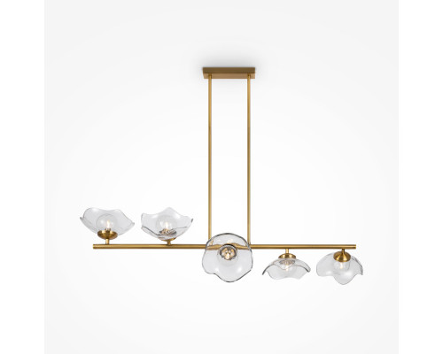 Заказать Люстра на штанге Maytoni MOD207PL-05BS| VIVID-LIGHT.RU