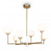 Оформить заказ Люстра на штанге Freya FR5373CL-06BS| VIVID-LIGHT.RU