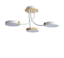 Люстра на штанге LUMION 5654/54CL