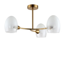 Люстра на штанге LUMION 6514/3C