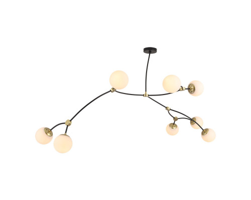 Заказать Люстра на штанге Lussole LSP-8914| VIVID-LIGHT.RU