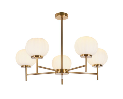 Сделать заказ Люстра на штанге MyFar MR1901-5C| VIVID-LIGHT.RU