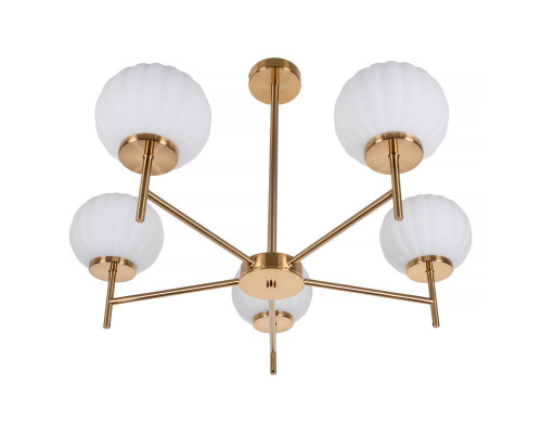 Сделать заказ Люстра на штанге MyFar MR1901-5C| VIVID-LIGHT.RU