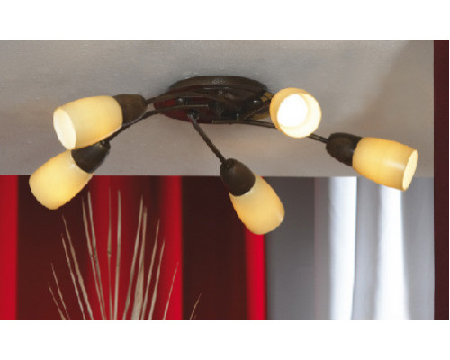 Заказать Накладная люстра Lussole LSQ-6917-05| VIVID-LIGHT.RU