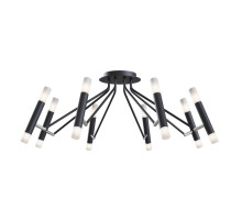 Накладная люстра Maytoni MOD620CL-16B