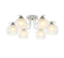 Накладная люстра Freya FR5052-CL-06-W