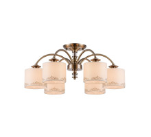 Накладная люстра Freya FR2539CL-06BS