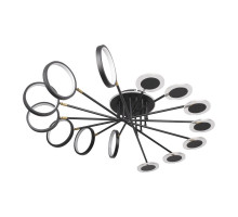 Накладная люстра LOFT IT 10164L Black