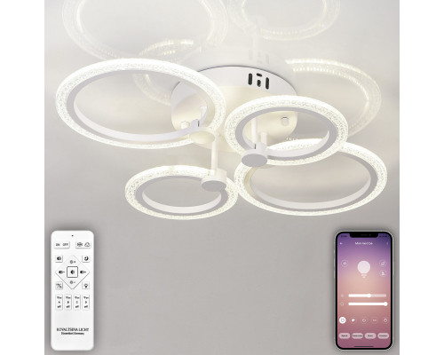 Купить Накладная люстра Natali Kovaltseva LED LAMPS 81231| VIVID-LIGHT.RU