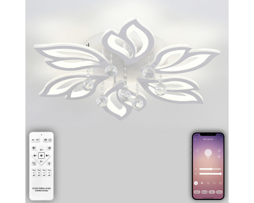 Заказать Накладная люстра Natali Kovaltseva LED LAMPS 81241| VIVID-LIGHT.RU