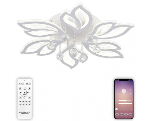 Заказать Накладная люстра Natali Kovaltseva LED LAMPS 81241| VIVID-LIGHT.RU