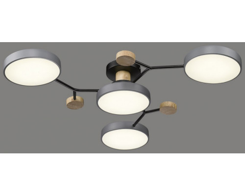 Оформить заказ Накладная люстра VELANTE 446-207-04| VIVID-LIGHT.RU