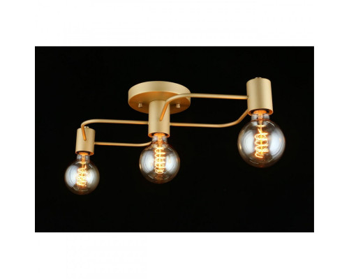 Заказать Накладная люстра APLOYT APL.911.07.03| VIVID-LIGHT.RU