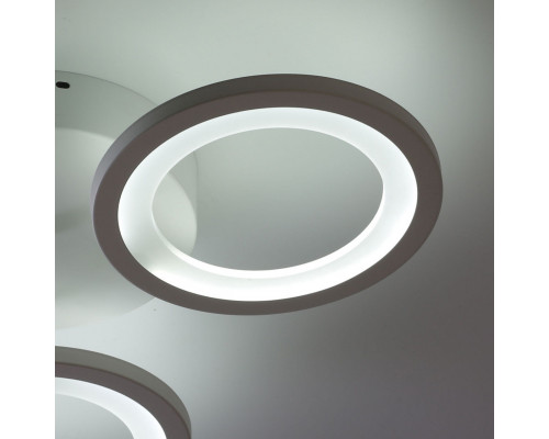 Купить Накладная люстра DeMarkt 424013303| VIVID-LIGHT.RU