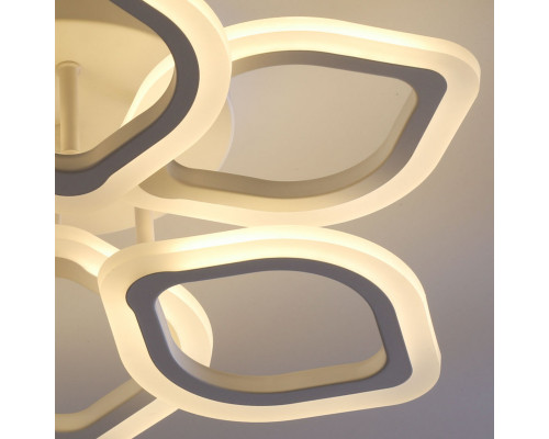 Оформить заказ Накладная люстра DeMarkt 424013206| VIVID-LIGHT.RU