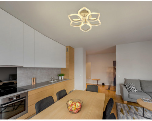 Оформить заказ Накладная люстра DeMarkt 424013206| VIVID-LIGHT.RU