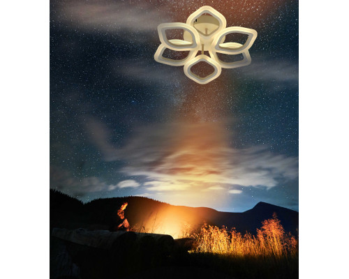 Оформить заказ Накладная люстра DeMarkt 424013206| VIVID-LIGHT.RU