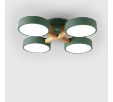 Накладная люстра ImperiumLoft 178328-26