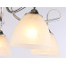 Заказать Накладная люстра Ambrella Light TR3042| VIVID-LIGHT.RU