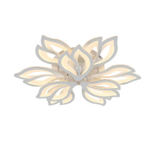 Накладная люстра Escada 10228/9LED