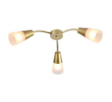Накладная люстра Escada 1100/3P Gold